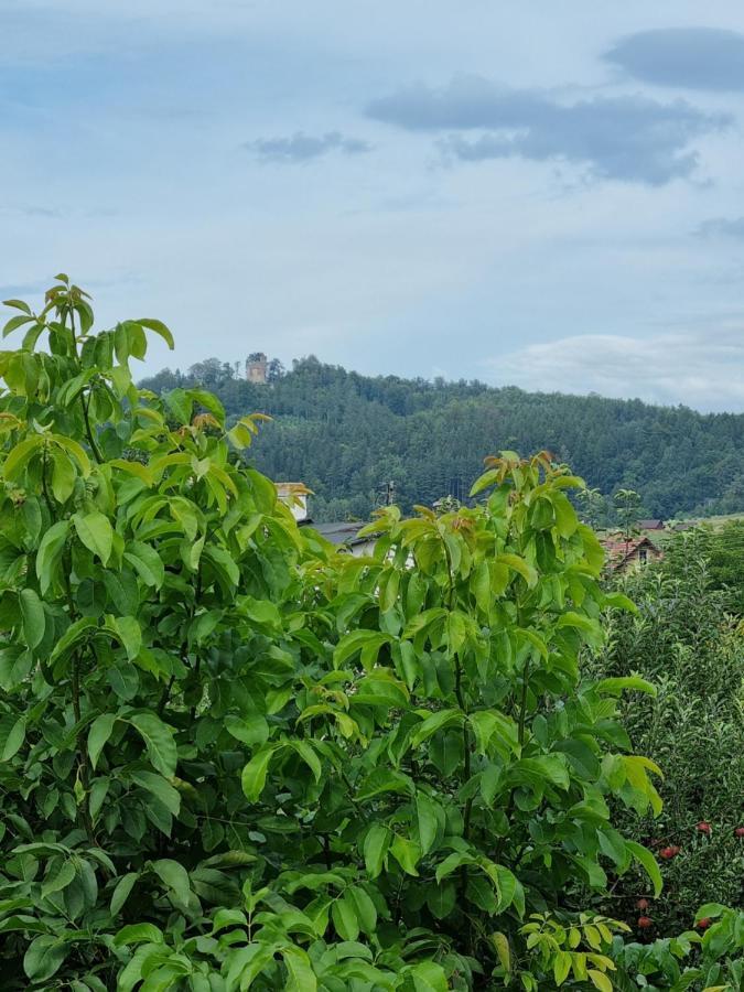 Drwala K. Karpacza Chalet
