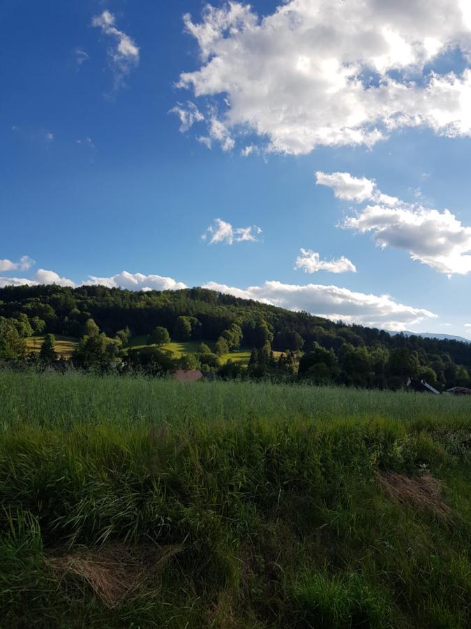 Drwala K. Karpacza * Sosnówka