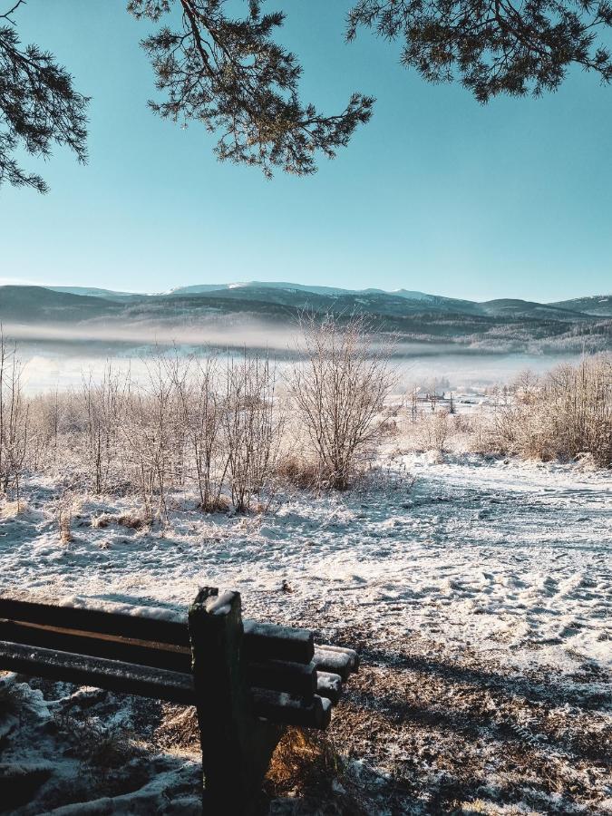 Drwala K. Karpacza * Sosnowka (Jelenia Gora)