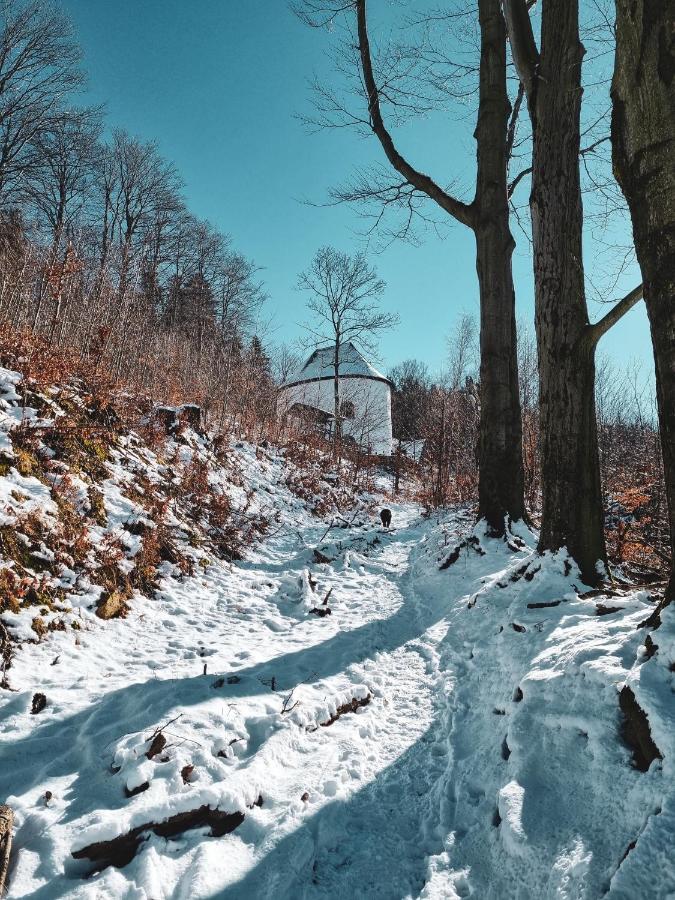 Drwala K. Karpacza Sosnowka (Jelenia Gora)